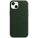 Кейс для Apple iPhone 13 mini Leather Case with MagSafe - Sequoia Green (MM0J3)