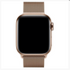 Apple Watch Milanese Loop 38mm/40mm/41mm Gold (MTU42/ML733)