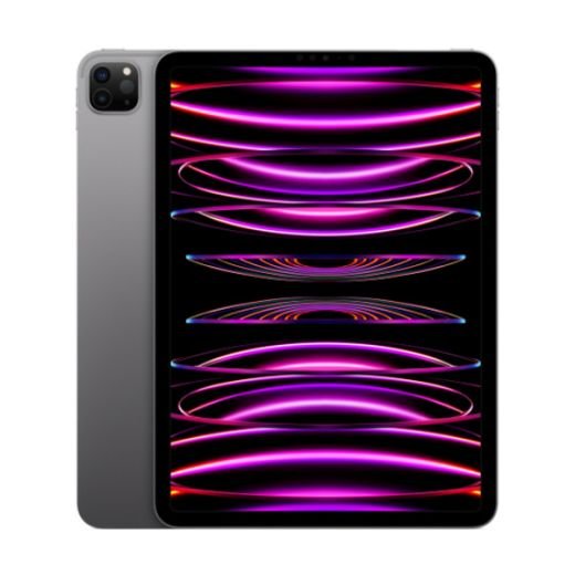 iPad Pro 11 2022 Wi-Fi 2TB Space Gray (MNXM3)